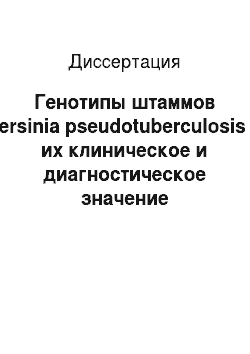 Диссертация: Генотипы штаммов Yersinia pseudotuberculosis и их клиническое и диагностическое значение