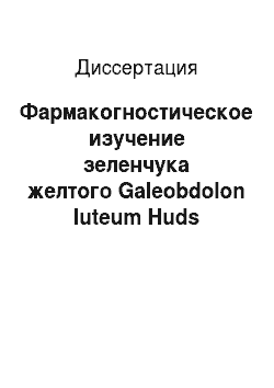Диссертация: Фармакогностическое изучение зеленчука желтого Galeobdolon luteum Huds