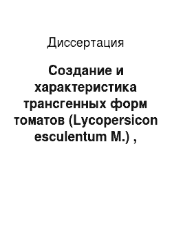 Диссертация: Создание и характеристика трансгенных форм томатов (Lycopersicon esculentum M.) , экспрессирующих ген дефензина редьки Rs-AFP2