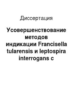 Диссертация: Усовершенствование методов индикации Francisella tularensis и leptospira interrogans с применением иммобилизованных систем