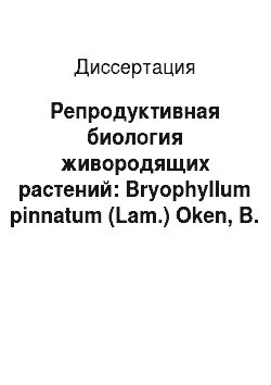 Диссертация: Репродуктивная биология живородящих растений: Bryophyllum pinnatum (Lam.) Oken, B. daigremontianum (Hamet et Perr.) Berger и Hammarbya paludosa (L.) Ktze