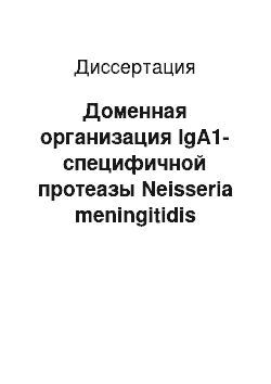 Диссертация: Доменная организация IgA1-специфичной протеазы Neisseria meningitidis