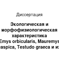 Диссертация: Экологическая и морфофизиологическая характеристика Emys orbicularis, Mauremys caspica, Testudo graeca и их эктопаразиты в условиях Дагестана