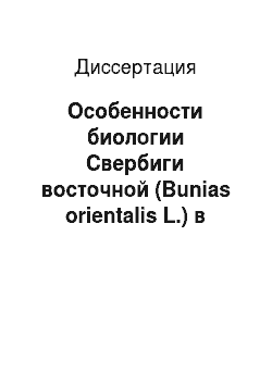 Диссертация: Особенности биологии Свербиги восточной (Bunias orientalis L.) в условиях Карелии