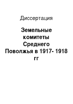 Диссертация: Земельные комитеты Среднего Поволжья в 1917-1918 гг
