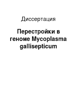 Диссертация: Перестройки в геноме Mycoplasma gallisepticum