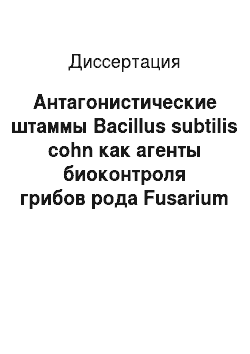 Диссертация: Антагонистические штаммы Bacillus subtilis cohn как агенты биоконтроля грибов рода Fusarium link