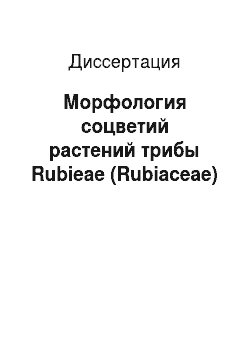 Диссертация: Морфология соцветий растений трибы Rubieae (Rubiaceae)