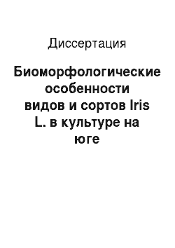 Диссертация: Биоморфологические особенности видов и сортов Iris L. в культуре на юге Среднерусской возвышенности