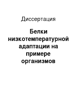 Диссертация: Белки низкотемпературной адаптации на примере организмов Байкальского региона