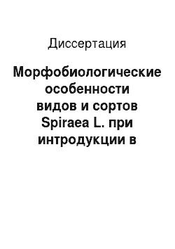 Диссертация: Морфобиологические особенности видов и сортов Spiraea L. при интродукции в условиях лесостепи Алтайского края