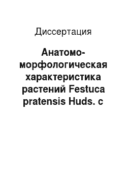Диссертация: Анатомо-морфологическая характеристика растений Festuca pratensis Huds. с температурозависимой хлорофиллдефектностью