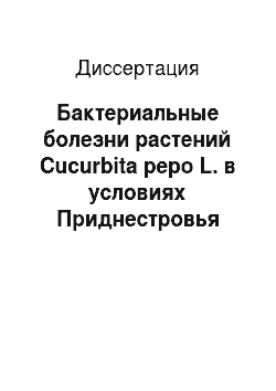 Диссертация: Бактериальные болезни растений Cucurbita pepo L. в условиях Приднестровья