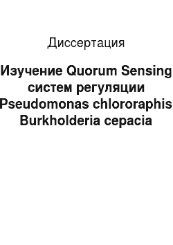 Диссертация: Изучение Quorum Sensing систем регуляции у Pseudomonas chlororaphis и Burkholderia cepacia