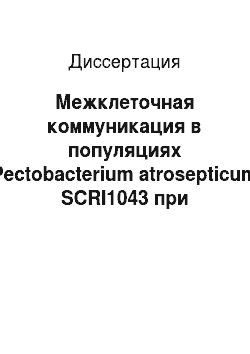 Диссертация: Межклеточная коммуникация в популяциях Pectobacterium atrosepticum SCRI1043 при взаимодействии с растением-хозяином и в условиях голодания