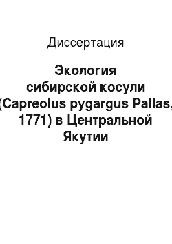 Диссертация: Экология сибирской косули (Capreolus pygargus Pallas, 1771) в Центральной Якутии