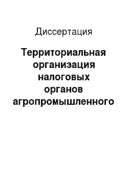 Диссертация: Территориальная организация налоговых органов агропромышленного региона (на примере Алтайского края)