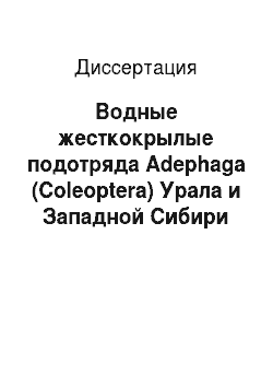 Диссертация: Водные жесткокрылые подотряда Adephaga (Coleoptera) Урала и Западной Сибири