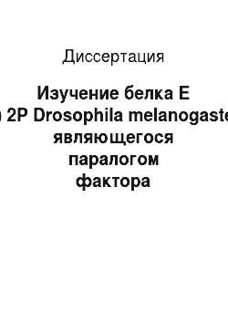 Диссертация: Изучение белка E (y) 2P Drosophila melanogaster, являющегося паралогом фактора транскрипции E (y) 2