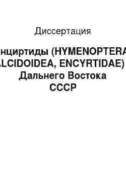 Диссертация: Энциртиды (HYMENOPTERA, CHALCIDOIDEA, ENCYRTIDAE) юга Дальнего Востока СССР