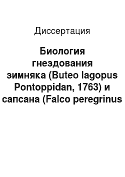 Диссертация: Биология гнездования зимняка (Buteo lagopus Pontoppidan, 1763) и сапсана (Falco peregrinus Tunstall, 1771) в Малоземельской тундре