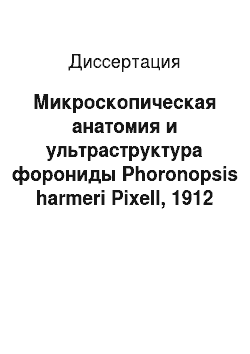 Диссертация: Микроскопическая анатомия и ультраструктура форониды Phoronopsis harmeri Pixell, 1912