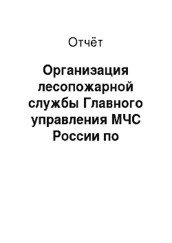 Отчёт: Организация лесопожарной службы Главного управления МЧС России по Брянской области