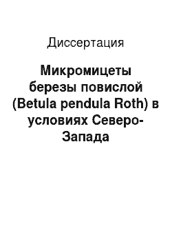 Диссертация: Микромицеты березы повислой (Betula pendula Roth) в условиях Северо-Запада Европейской части России