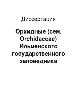 Диссертация: Орхидные (сем. Orchidaceae) Ильменского государственного заповедника