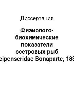 Диссертация: Физиолого-биохимические показатели осетровых рыб (Acipenseridae Bonaparte, 1832) при выращивании в индустриальных хозяйствах