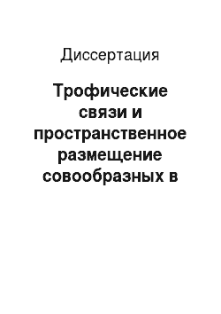 Диссертация: Трофические связи и пространственное размещение совообразных в Средней Сибири