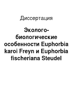 Диссертация: Эколого-биологические особенности Euphorbia karoi Freyn и Euphorbia fischeriana Steudel (Euphorbiaceae) в Восточном Забайкалье