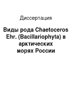 Диссертация: Виды рода Chaetoceros Ehr. (Bacillariophyta) в арктических морях России