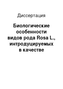 Диссертация: Биологические особенности видов рода Rosa L., интродуцируемых в качестве подвоев в Западной Сибири