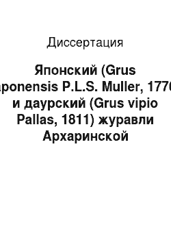 Диссертация: Японский (Grus japonensis P.L.S. Muller, 1776) и даурский (Grus vipio Pallas, 1811) журавли Архаринской низменности: Среднее Приамурье