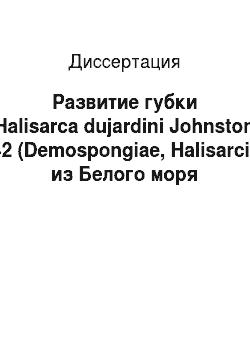 Диссертация: Развитие губки Halisarca dujardini Johnston 1842 (Demospongiae, Halisarcida) из Белого моря