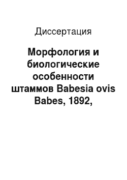 Диссертация: Морфология и биологические особенности штаммов Babesia ovis Babes, 1892, Краснодарского края, Азербайджана и Дагестана