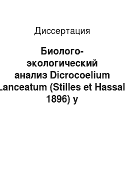 Диссертация: Биолого-экологический анализ Dicrocoelium Lanceatum (Stilles et Hassal, 1896) у дефинитивных и промежуточных хозяев в экосистемах Терско-Сулакской низменности