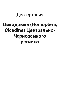 Диссертация: Цикадовые (Homoptera, Cicadina) Центрально-Черноземного региона
