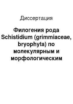 Диссертация: Филогения рода Schistidium (grimmiaceae, bryophyta) по молекулярным и морфологическим данным