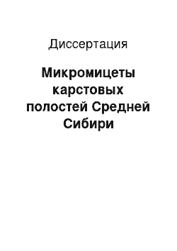 Диссертация: Микромицеты карстовых полостей Средней Сибири
