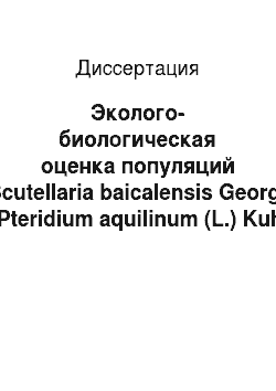 Диссертация: Эколого-биологическая оценка популяций Scutellaria baicalensis Georgi и Pteridium aquilinum (L.) Kuhn в Забайкалье