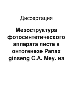 Диссертация: Мезоструктура фотосинтетического аппарата листа в онтогенезе Panax ginseng C.A. Mey. из природных и культивируемых популяций Приморья
