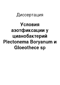 Диссертация: Условия азотфиксации у цианобактерий Plectonema Boryanum и Gloeothece sp