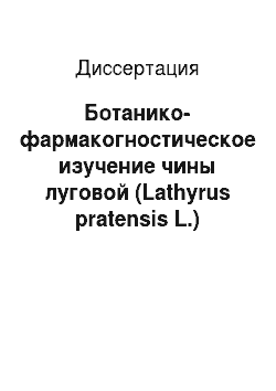 Диссертация: Ботанико-фармакогностическое изучение чины луговой (Lathyrus pratensis L.)