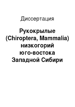 Диссертация: Рукокрылые (Chiroptera, Mammalia) низкогорий юго-востока Западной Сибири