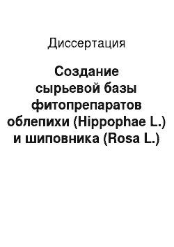 Диссертация: Создание сырьевой базы фитопрепаратов облепихи (Hippophae L.) и шиповника (Rosa L.) в Нечерноземной зоне России