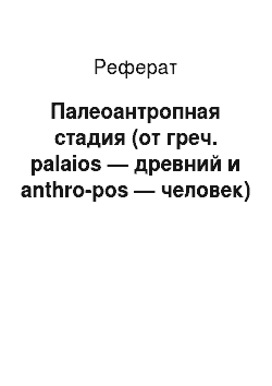 Реферат: Палеоантропная стадия (от греч. palaios — древний и anthro-pos — человек)