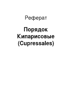 Реферат: Порядок Кипарисовые (Cupressales)