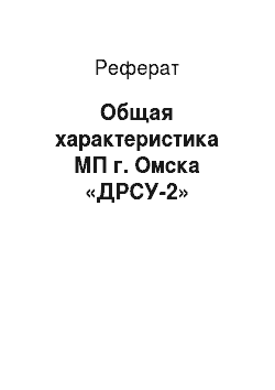 Реферат: Общая характеристика МП г. Омска «ДРСУ-2»